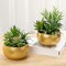 Artificial Succulent Small Potted Plant in Gold Metal Pot – Faux Lifelike Desk & Home Tabletop Centerpiece Decor for Office, Bathroom & Living Room